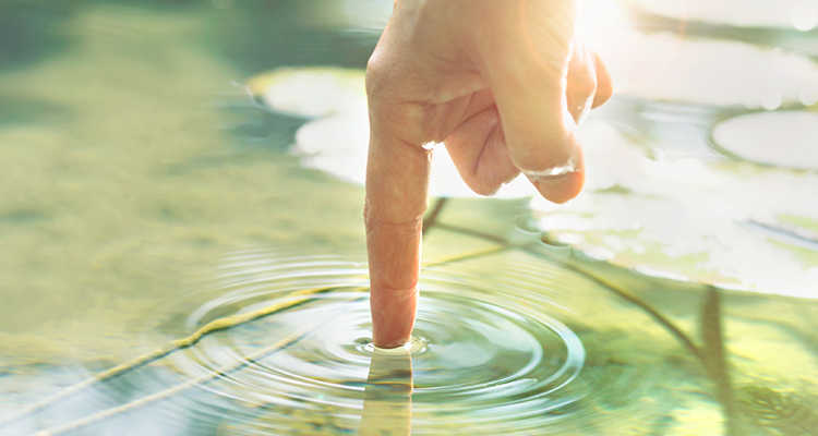 Multi-touch attribution