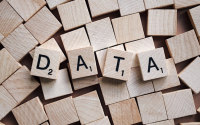 The Role of Data Transparency in Modern Marketing Attribution
